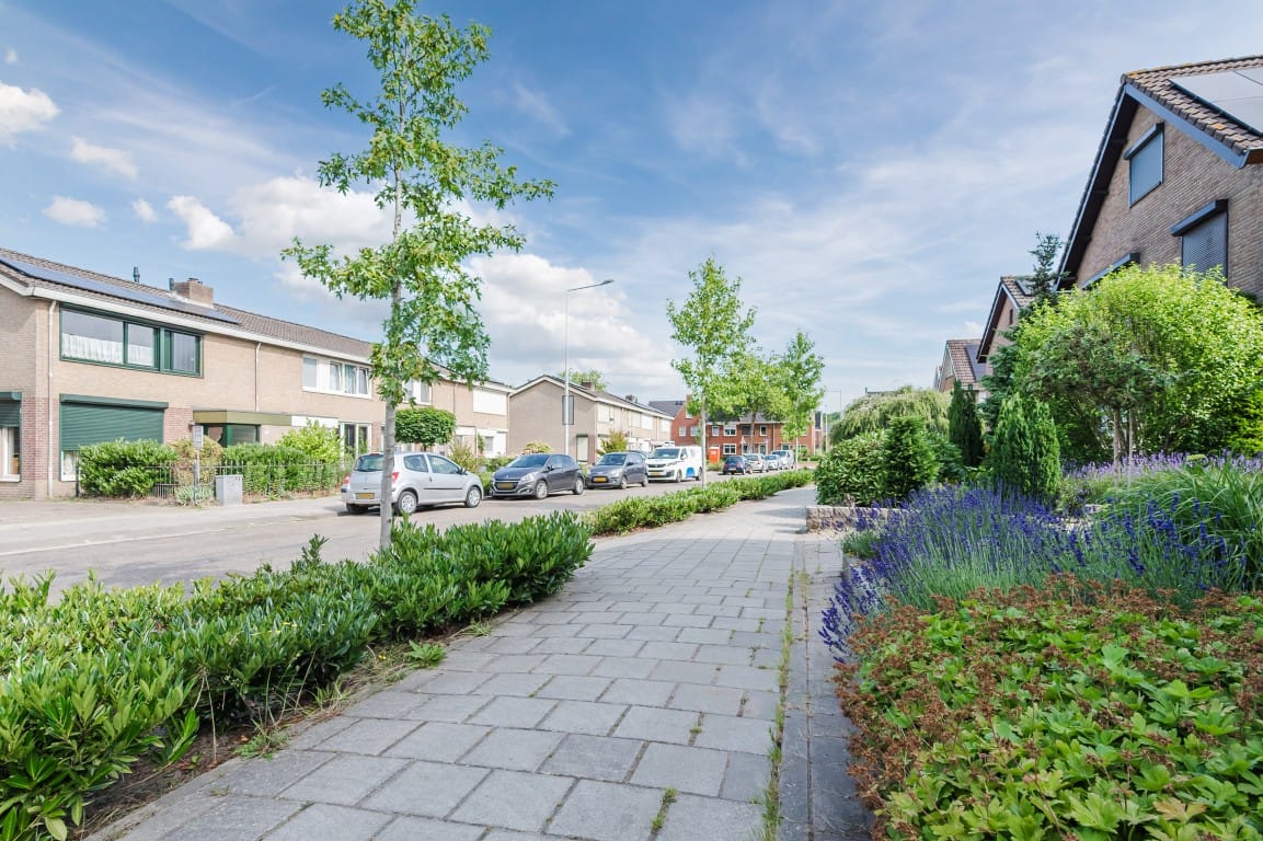 Foto 45 van Rode Schouw 34