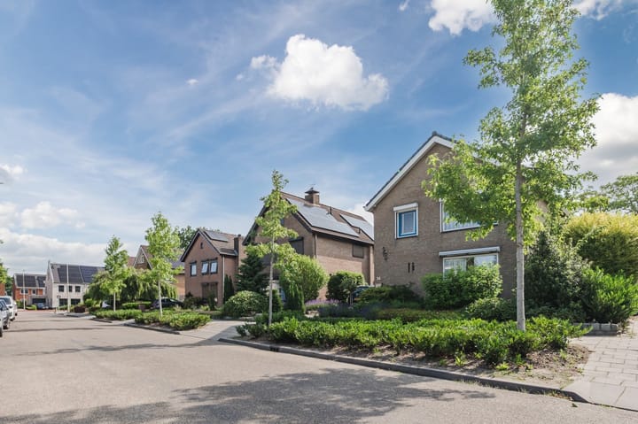 Foto 46 van Rode Schouw 34