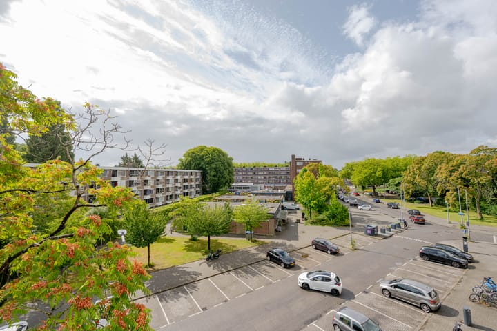 Foto 5 van Bierens de Haanweg 129