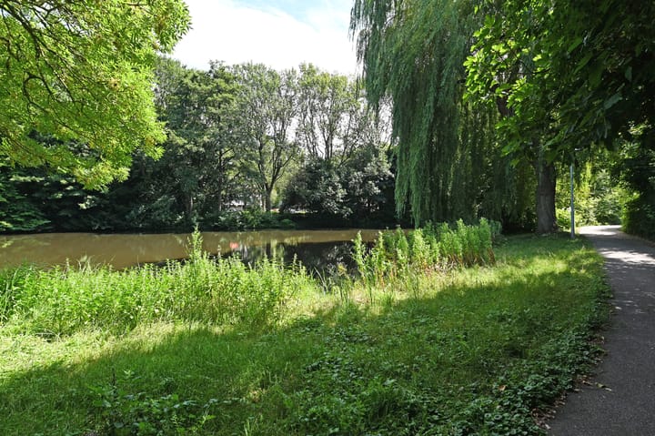 Foto 29 van Elzendreef 619