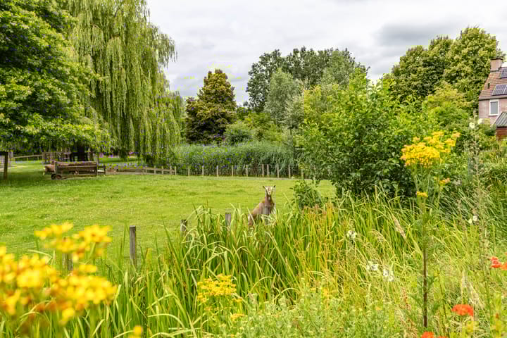 Foto 43 van Kamilleweg 49