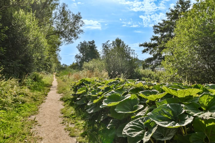 Foto 24 van Heemraadweg 732