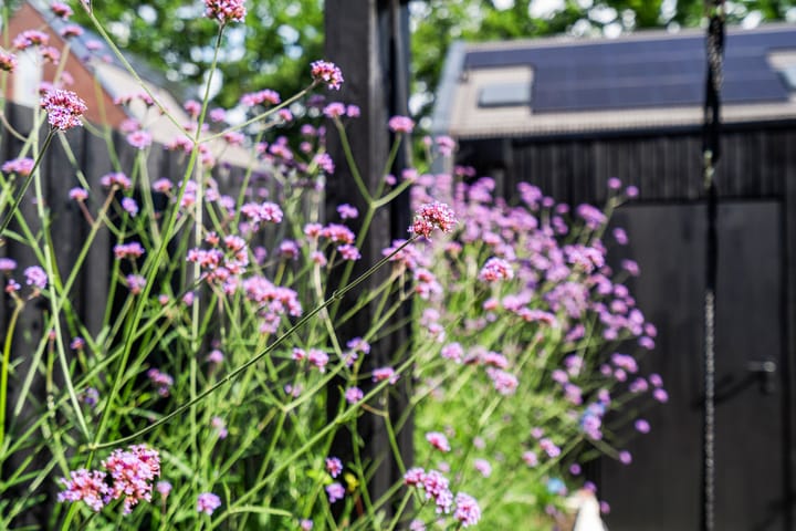 Foto 32 van Boven Engweg 26