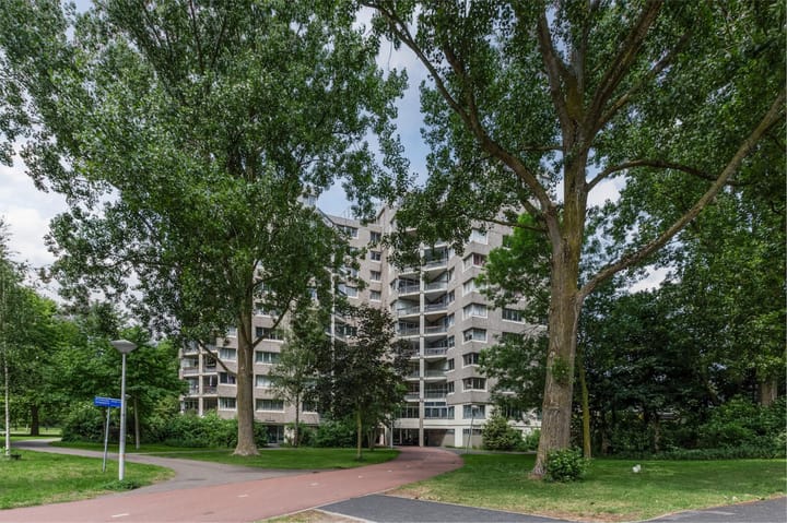 Foto 1 van Groenhoven 256