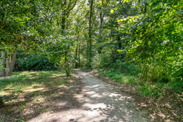 Foto 55 van De Eiken 43