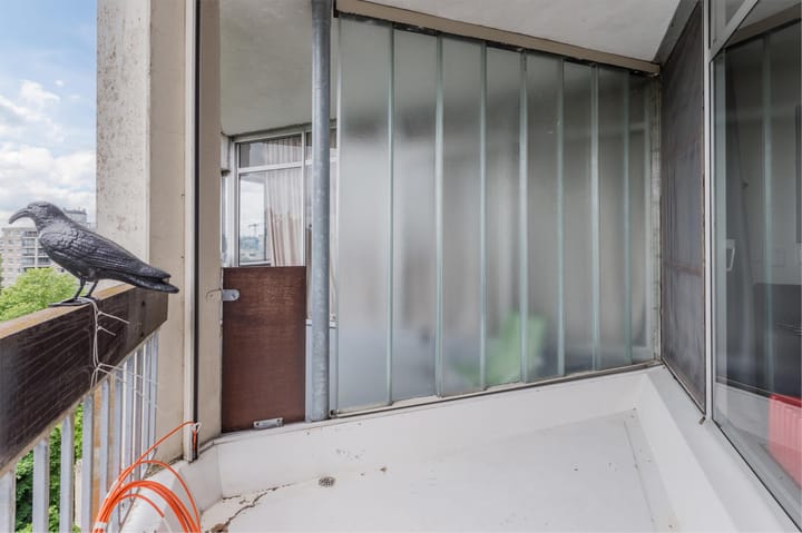 Foto 34 van Groenhoven 256