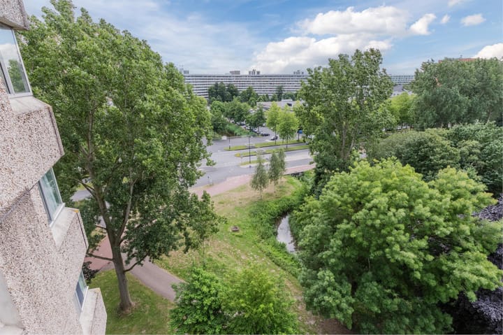 Foto 36 van Groenhoven 256