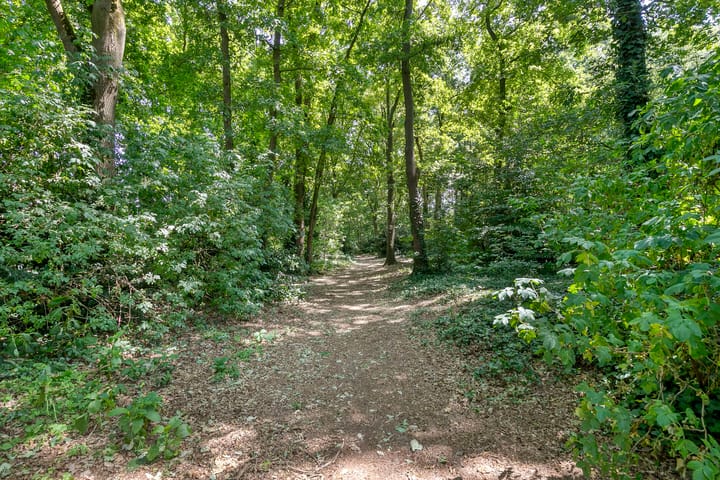 Foto 57 van De Eiken 43