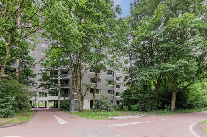 Foto 40 van Groenhoven 256