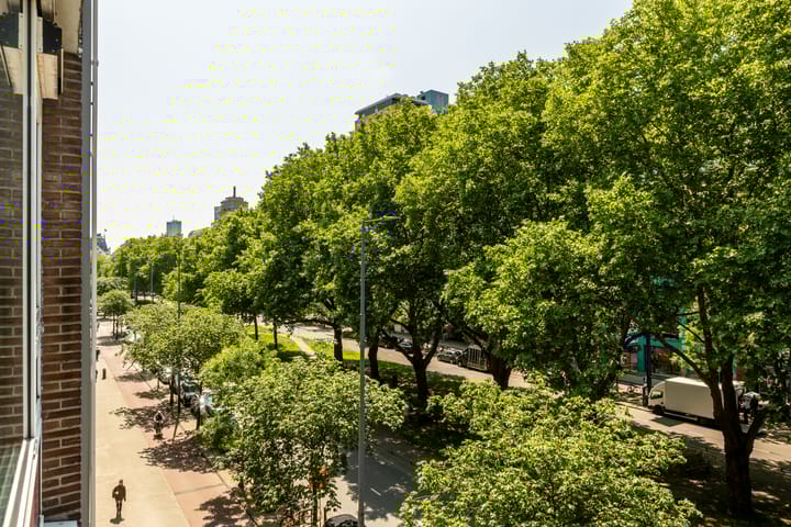 Foto 19 van Mariniersweg 64-D