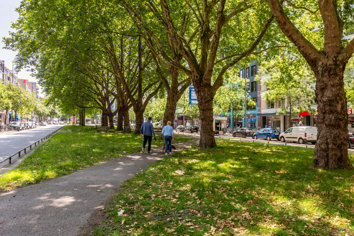 Foto 32 van Mariniersweg 64-D