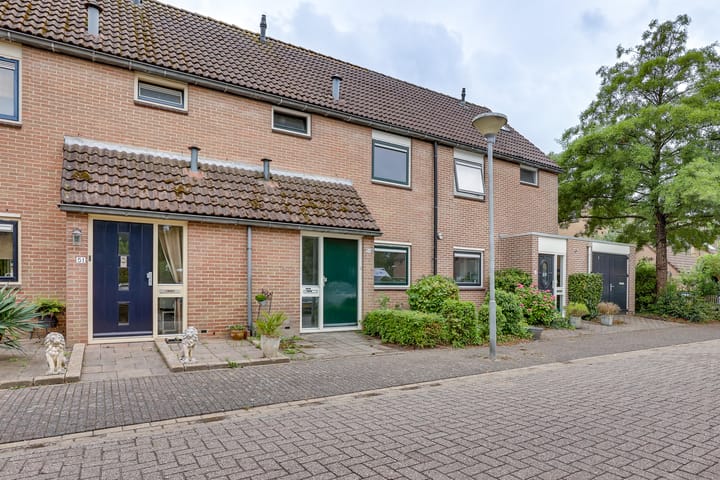 Foto 1 van Pinksterbloem 50