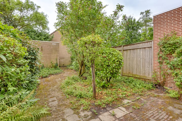 Foto 4 van Pinksterbloem 50