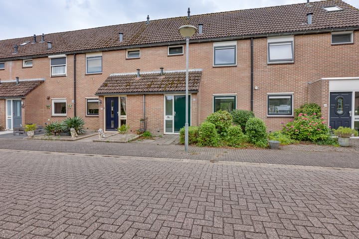 Foto 6 van Pinksterbloem 50