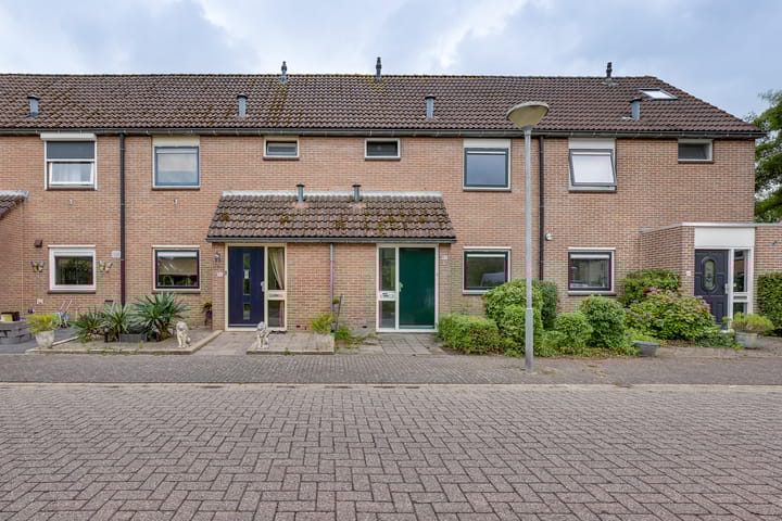 Foto 8 van Pinksterbloem 50