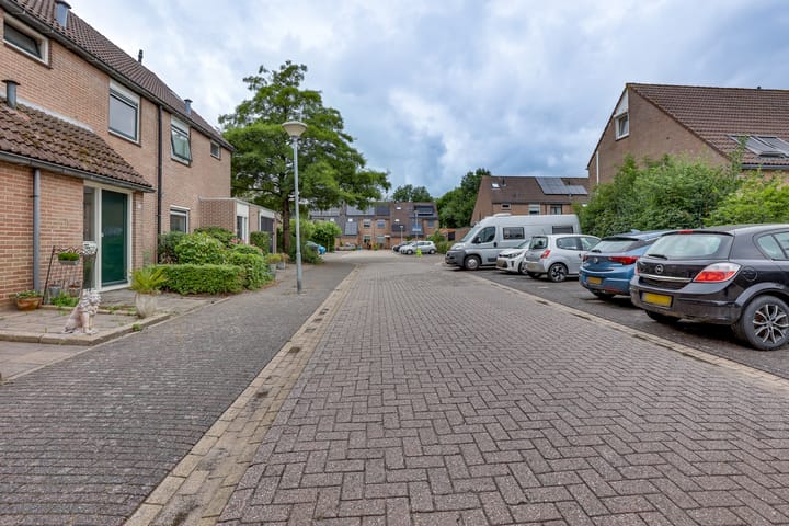 Foto 7 van Pinksterbloem 50