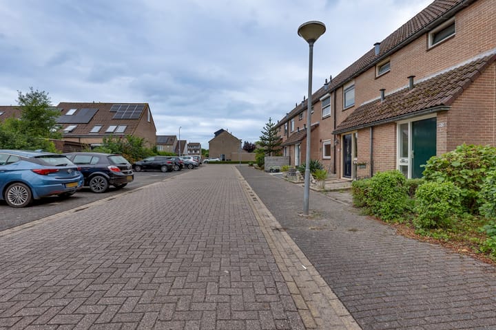 Foto 9 van Pinksterbloem 50