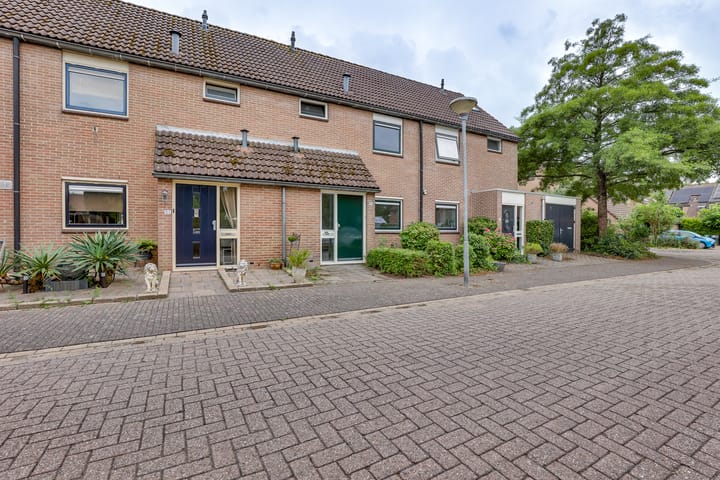 Foto 10 van Pinksterbloem 50