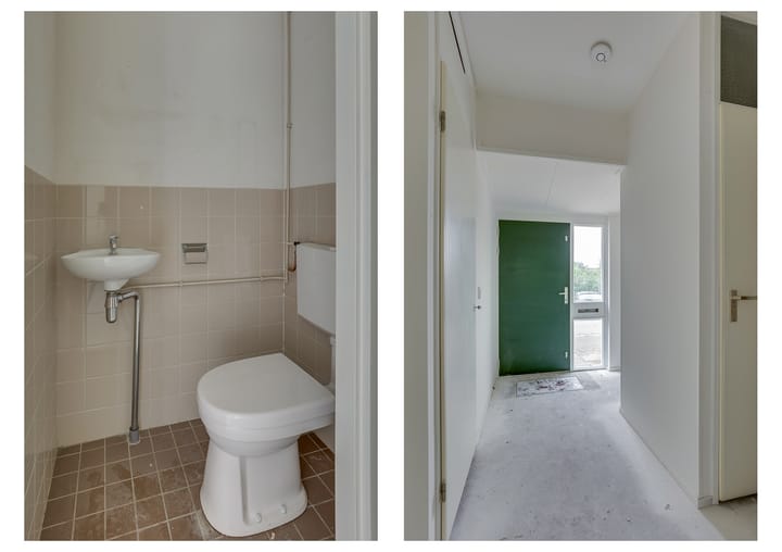 Foto 15 van Pinksterbloem 50