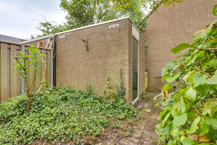 Foto 23 van Pinksterbloem 50