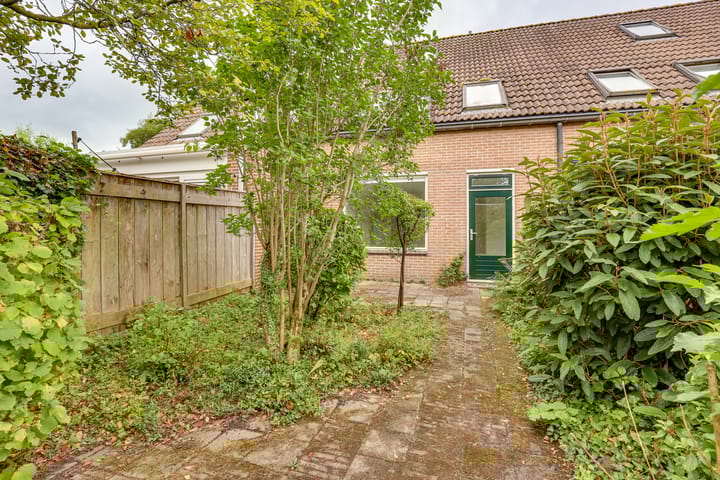 Foto 25 van Pinksterbloem 50