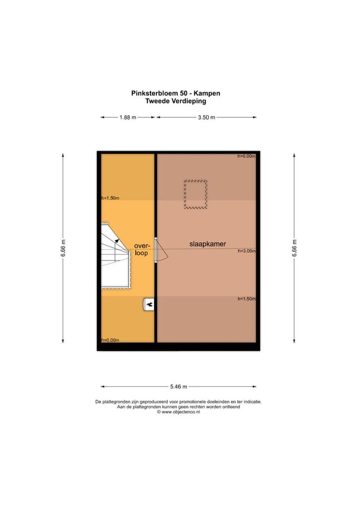 Foto 36 van Pinksterbloem 50