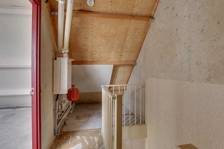 Foto 37 van Pinksterbloem 50