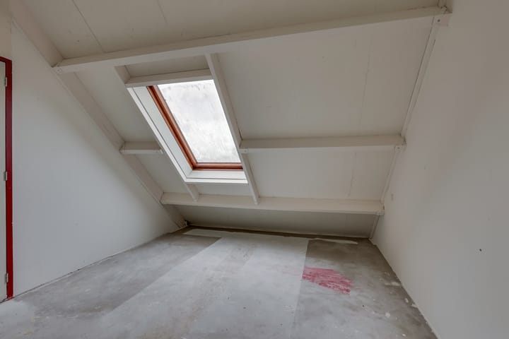 Foto 38 van Pinksterbloem 50