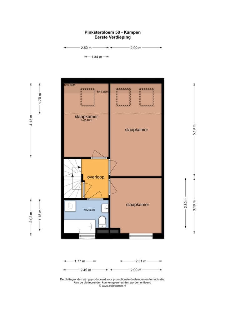 Foto 44 van Pinksterbloem 50