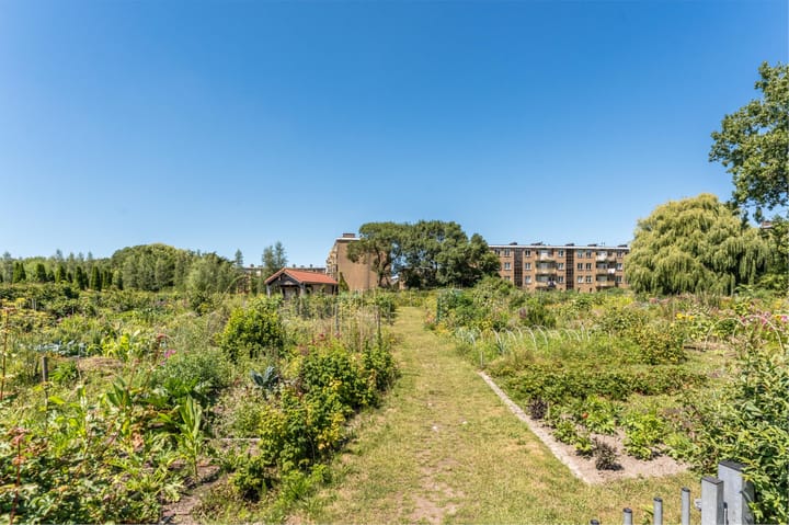 Foto 52 van Drechtstraat 8