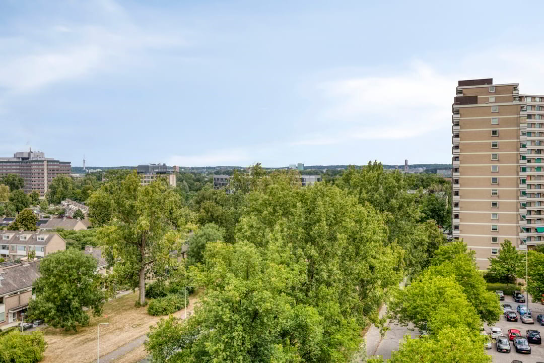 Foto 17 van Groningensingel 705