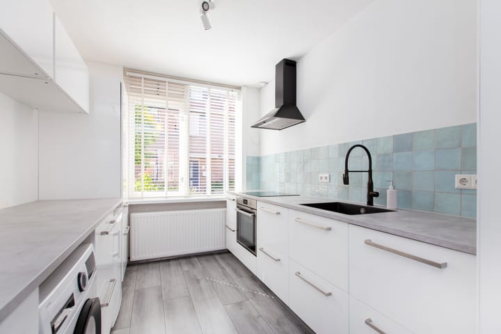 Foto 12 van Zadelmaker 187