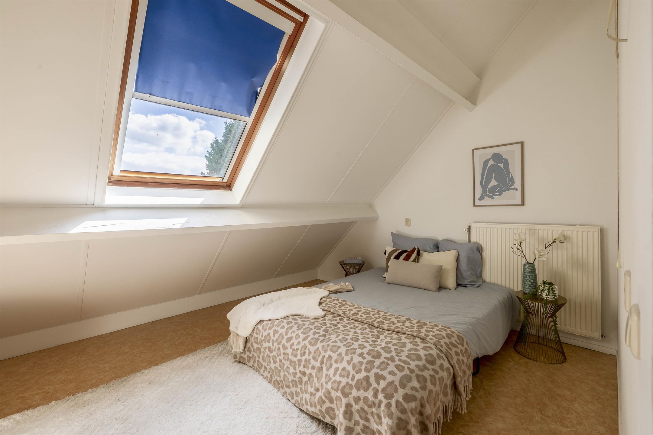 Foto 24 van Paltrokmolen 78