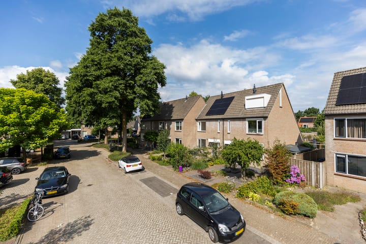 Foto 4 van Sterappel 6