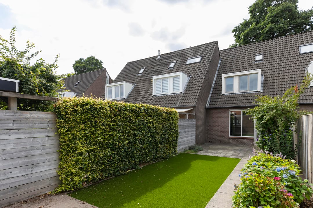 Foto 7 van Sterappel 6