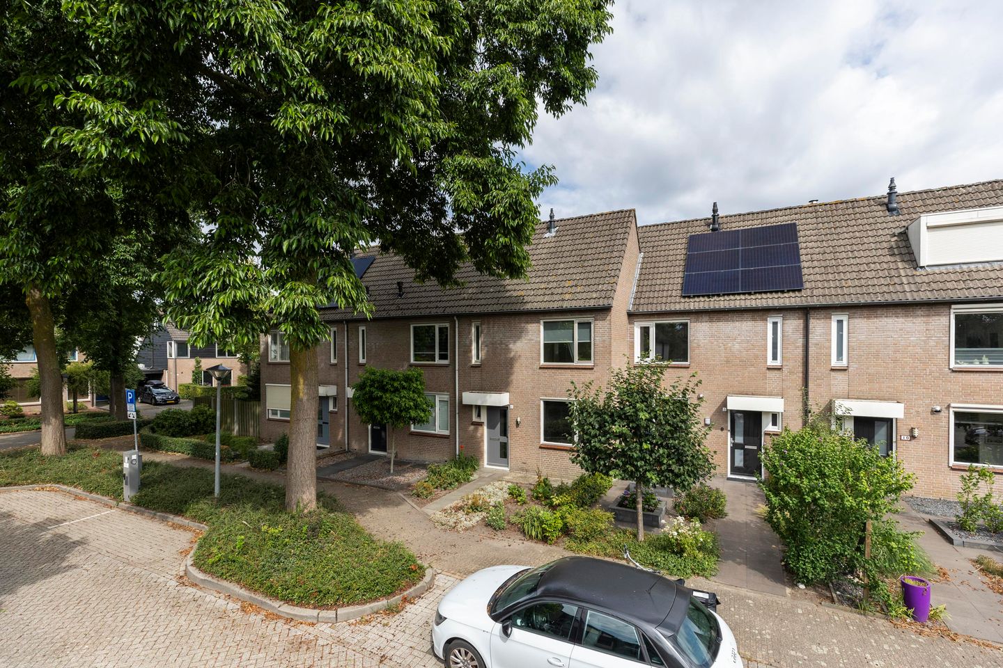 Foto 5 van Sterappel 6