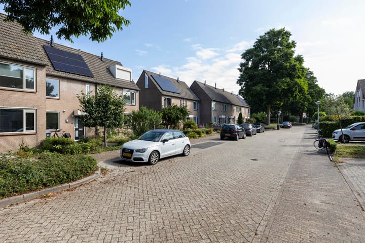 Foto 3 van Sterappel 6