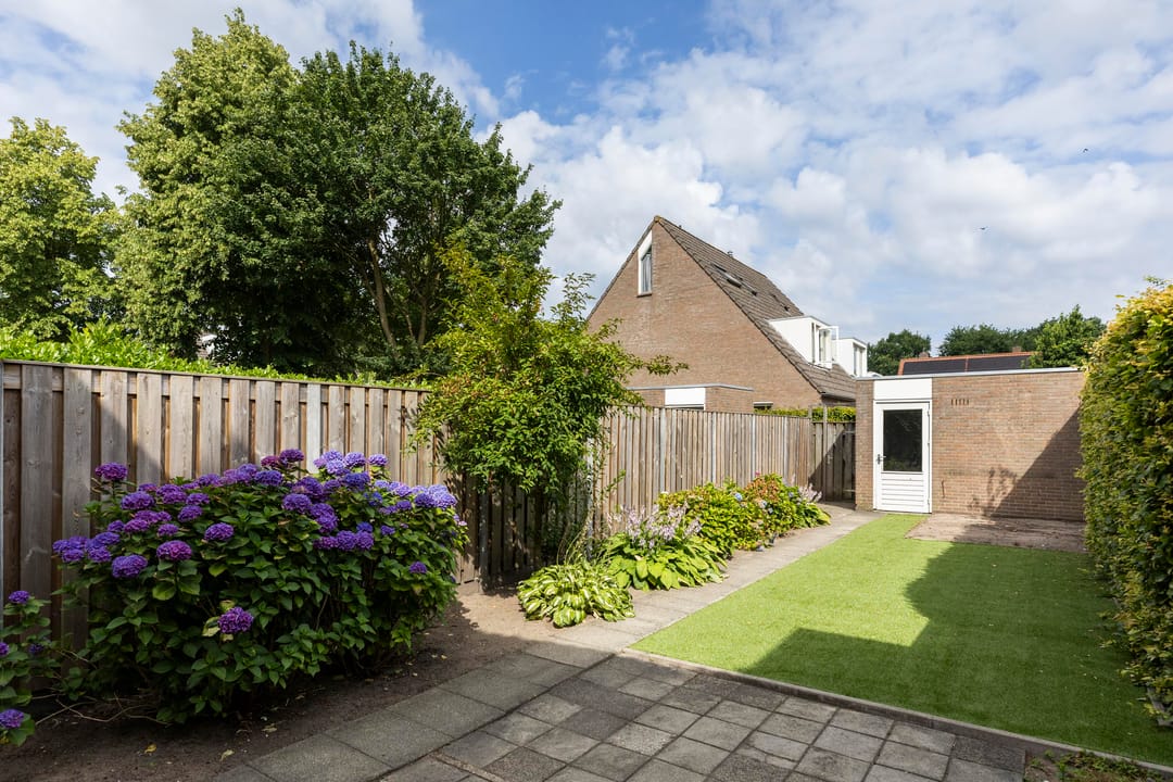 Foto 8 van Sterappel 6