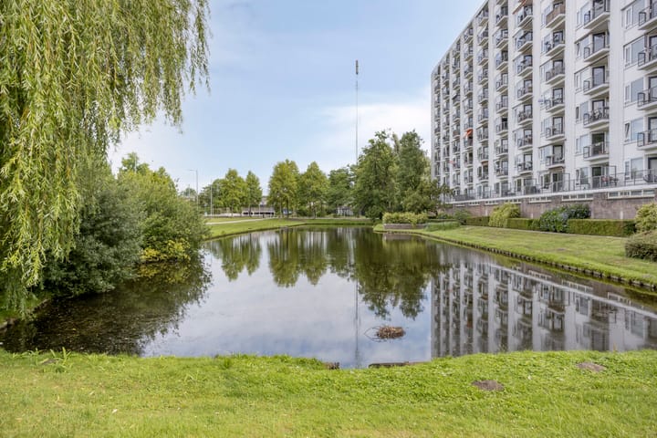 Foto 23 van Suze Groeneweglaan 281