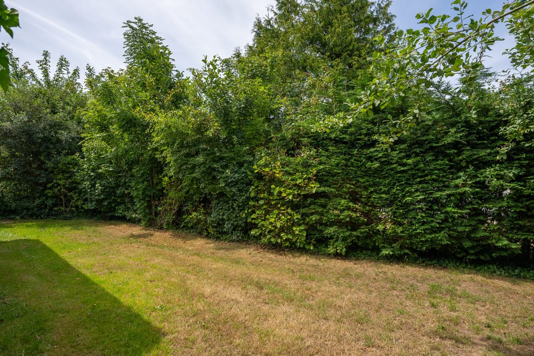 Foto 43 van Roggeslootweg 271