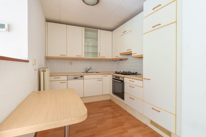 Foto 9 van Wilhelminaplantsoen 11-C