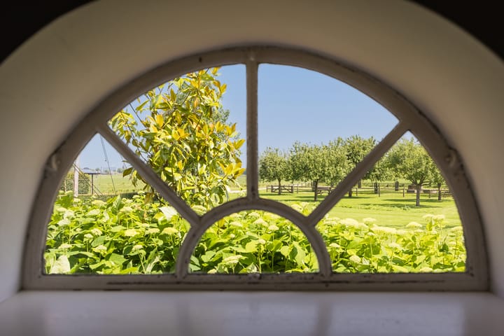 Foto 41 van Eekstraat 3