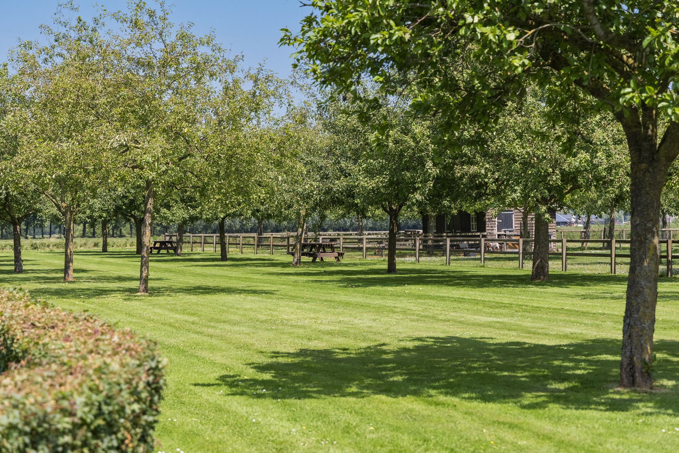 Foto 60 van Eekstraat 3