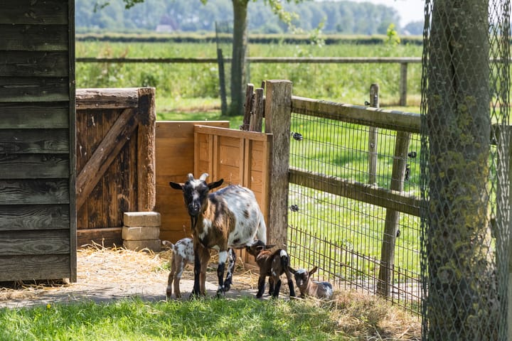 Foto 61 van Eekstraat 3