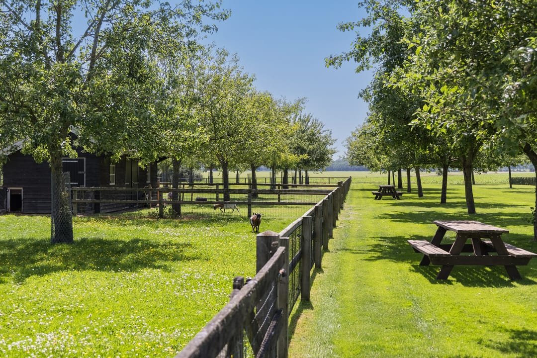 Foto 62 van Eekstraat 3