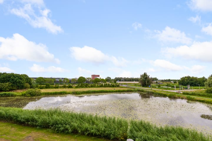 Foto 5 van Polderpeil 174