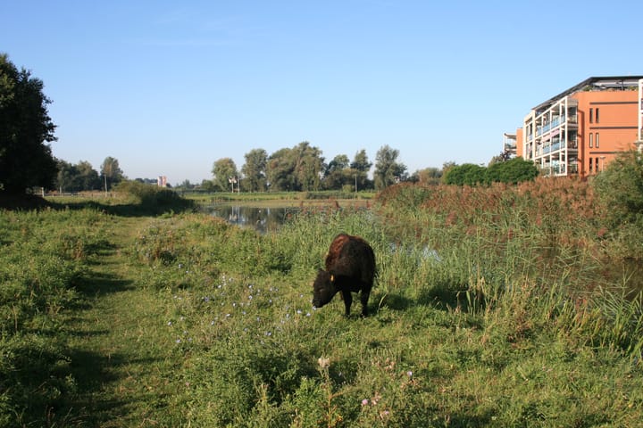 Foto 24 van Polderpeil 174