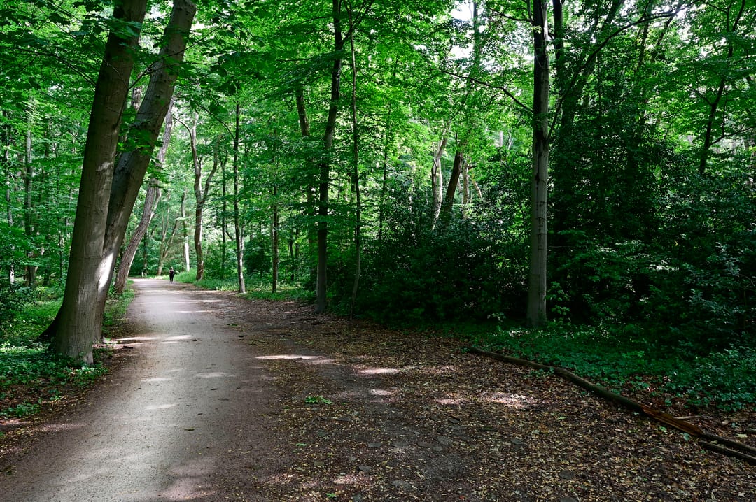 Foto 17 van Vaartweg 181