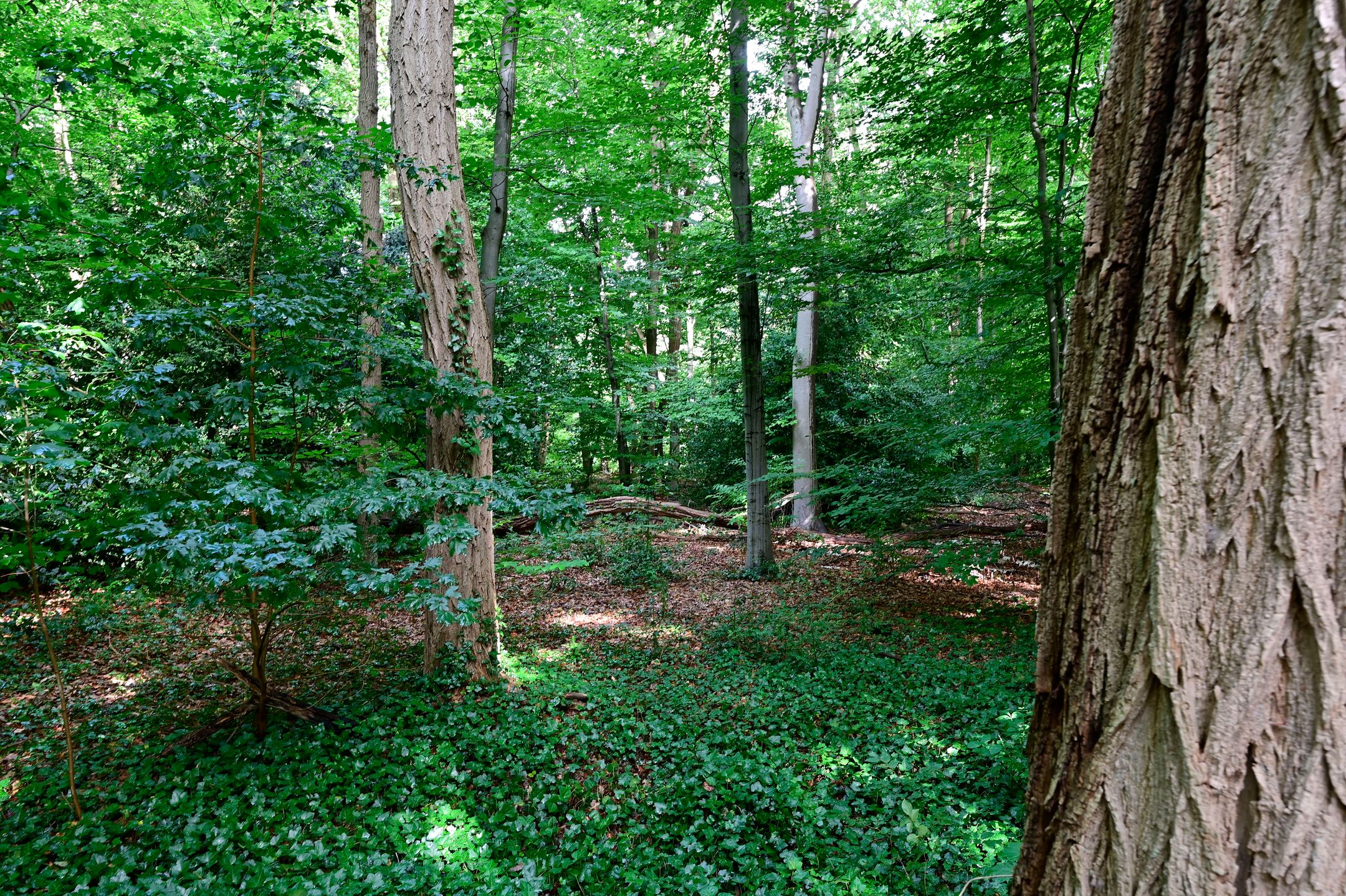 Foto 18 van Vaartweg 181