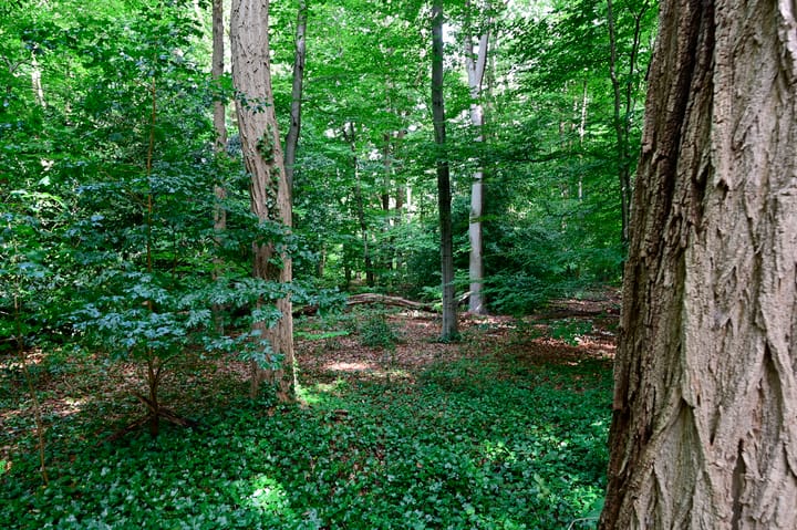 Photo 18 of Vaartweg 181